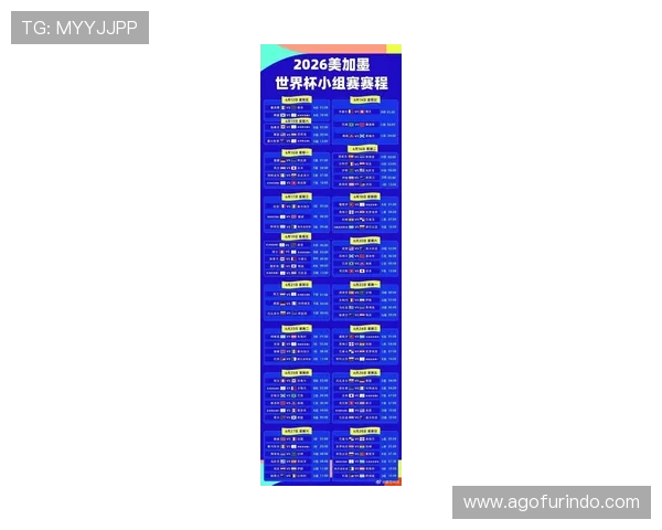 2026年世界杯分组结果公布后对晋级形势的深度解读